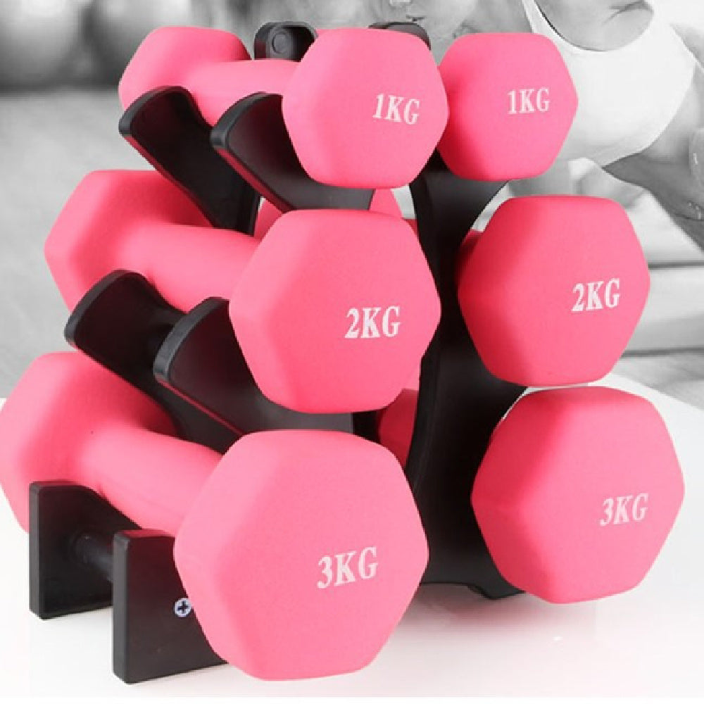 Fitness Dumbbell With Rack Holder Put Home Dumbbell Rack - Abdul